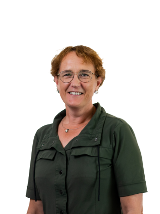 Ontwerp zonder titel