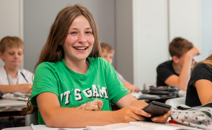 1 Docent Wiskunde - Driestar