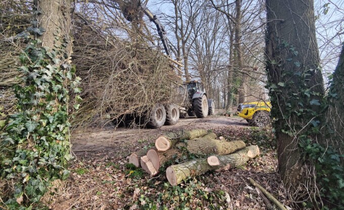 Allround Boomverzorging